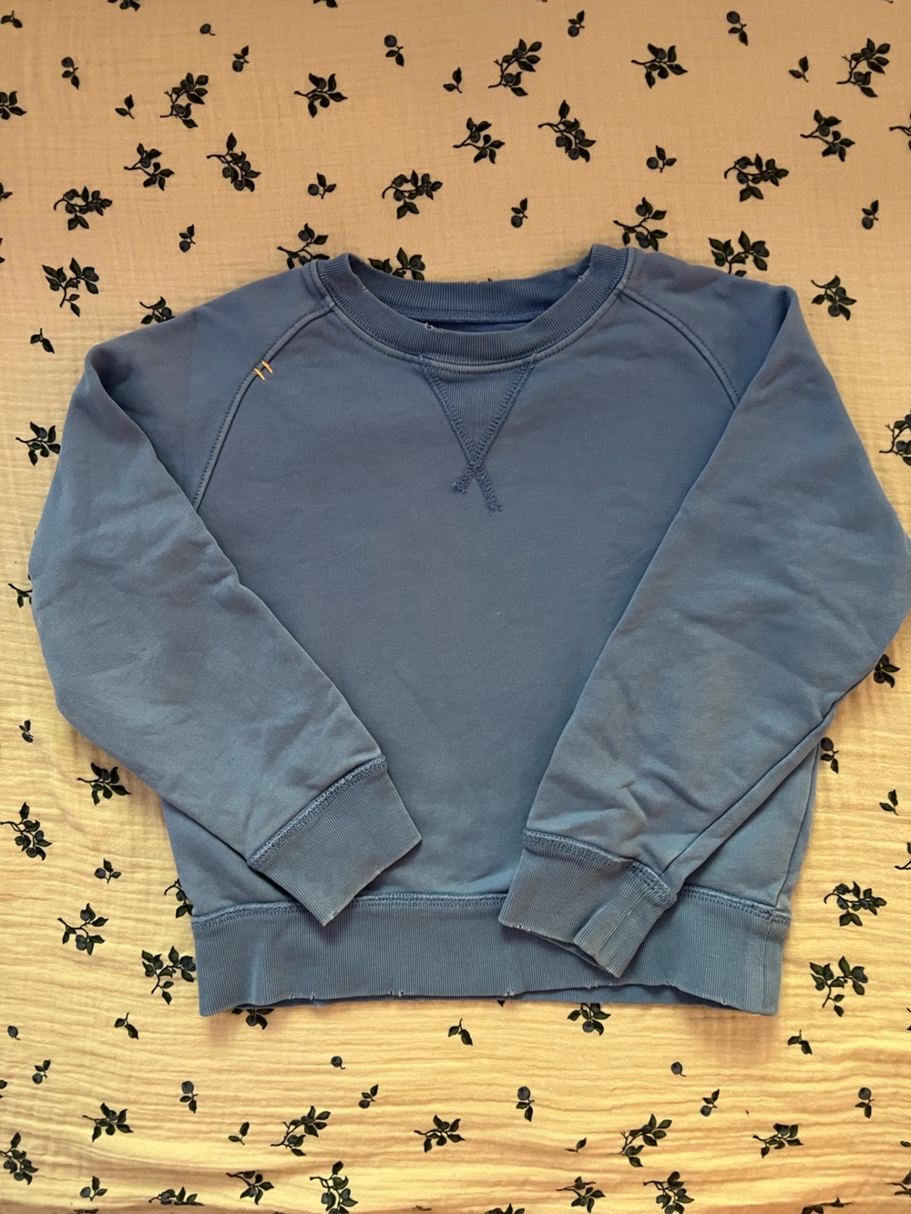 JCrew Crewcuts Blue Kids Crewneck Sweatshirt Boys 4-5
